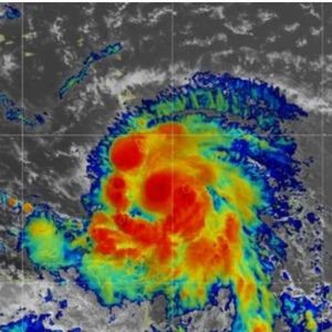 Meet your Posher, Cameron